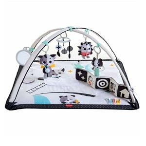 Tiny Love Magical Tales Black & White Gymini