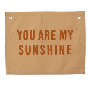 Peach Sunshine Banner 