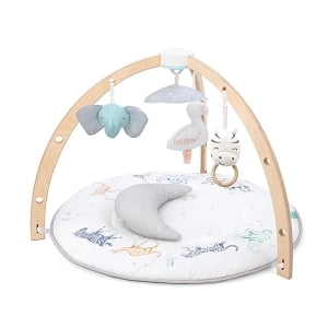Aden + Anais Baby Activity Gym - Rising Star