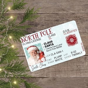 Santa's Lost Flying License Packaged